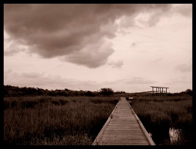 Sepia Landscape