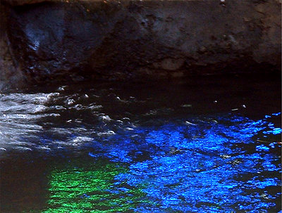 Blue light and Green light Swimming