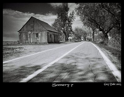 Country Scenery 7