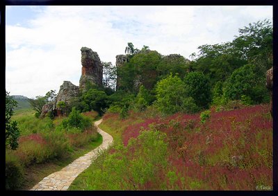 Caminhos