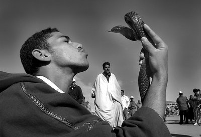 Snake Charmer (Morocco)