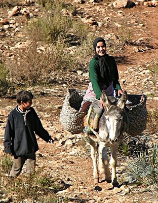 Happy Kid, Happy Donkey (1)