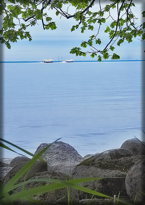 Gulf of Finland near Peterhof