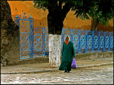 Coming home from the market 2