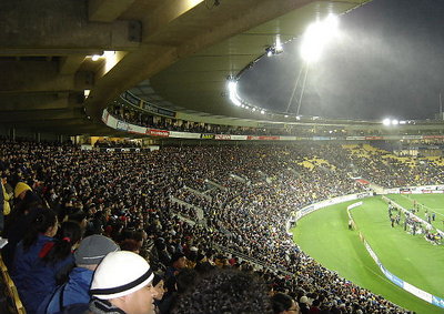 Wellington Rugby Fans