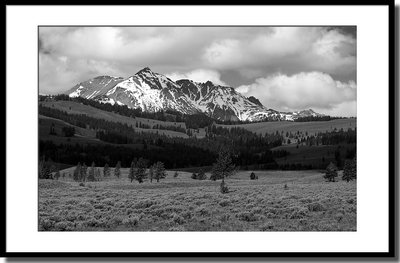 Landscape @ Yellowstone