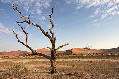 Namib desert