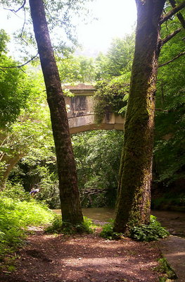 ponte