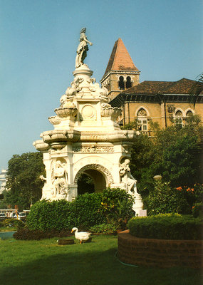 Duck in Fountain