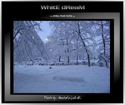 WhitE dReAM