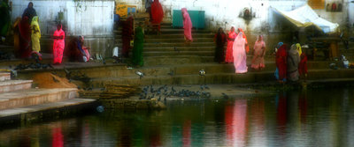 pushkar