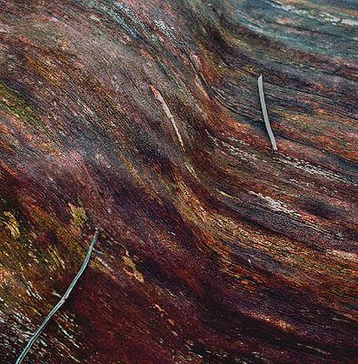 Rollercoaster wood