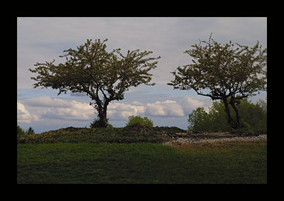 Low Lying Clouds