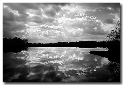 paddy field reflection 2