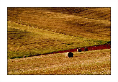 Rolling in fields