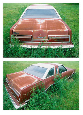 '77 T-Bird:  Rust In Peace