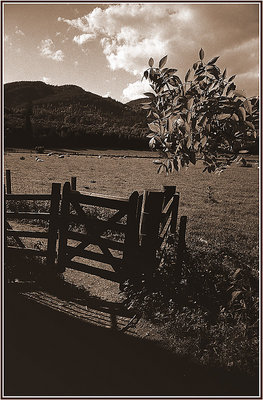 Old Gate, Dunkeld