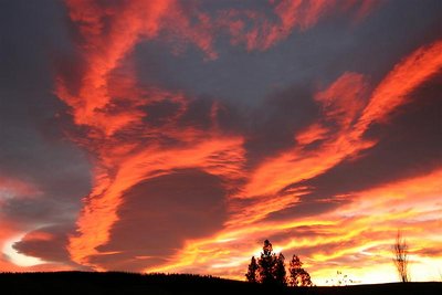 Sunrise - Otago - New Zealand