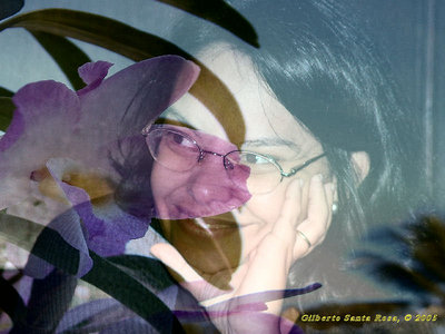 I don't believe... (3)