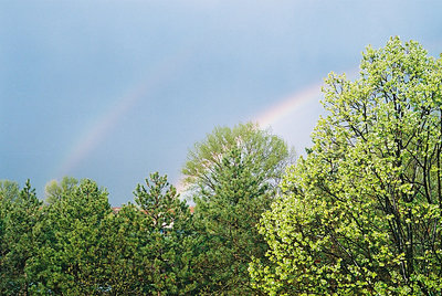 42Ḟ18' rainbow