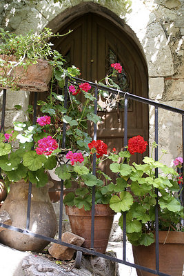 Rail  Flower & Door