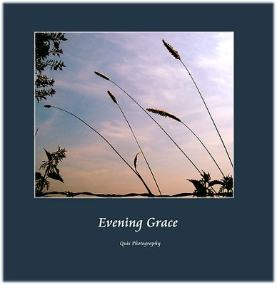 Evening Grace