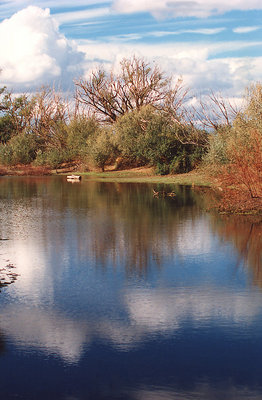 En un recodo del rio