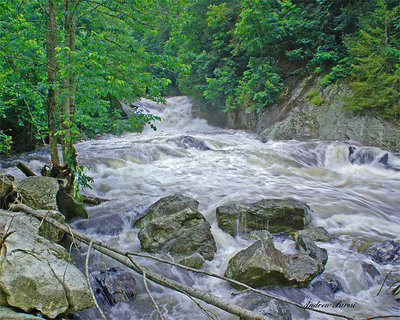 Callaseja River, N.C.