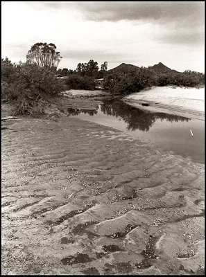 Little muddy river