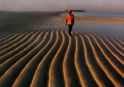 The Sun, Sand and Sea