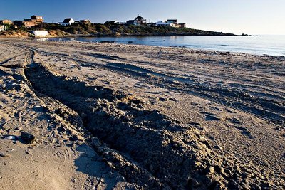 SandHead