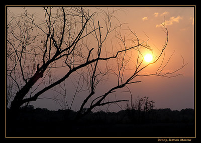 "Grasping for the Sun"