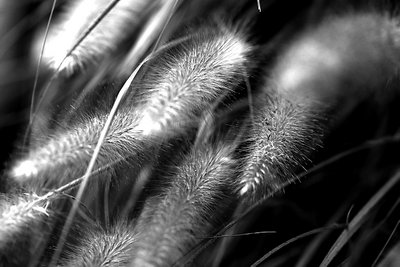 nature 10