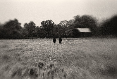 Two in a Field