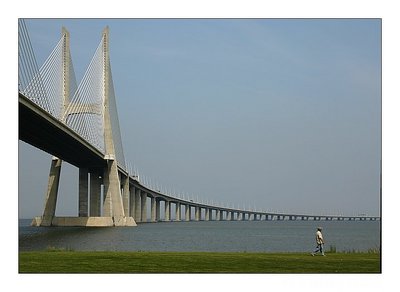 The man ant the bridge