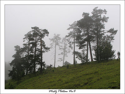 Misty Plateau 4