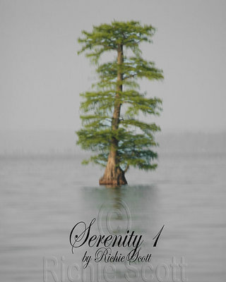 Serenity 1