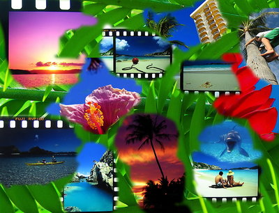 Vacation Memories