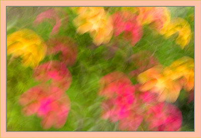 Blurred foliage