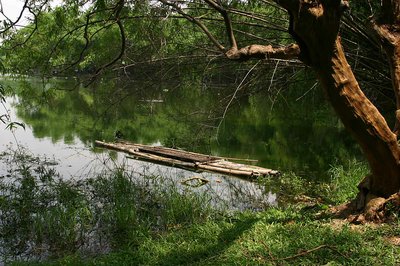 a raft, a tree and a lake