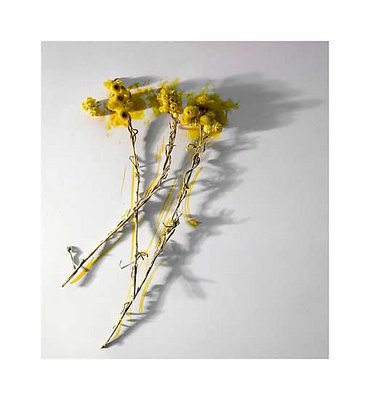 color the flowers