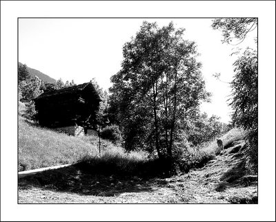 Bosco Gurin, morning work.