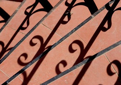 Curls & Shadow