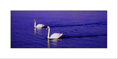 Percorsi nel blu