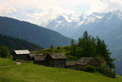 Roofs
