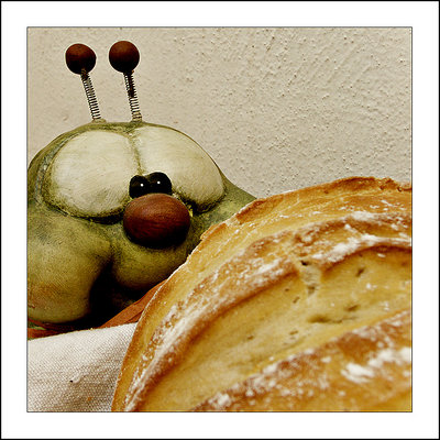 Red Nose IV - mmm.. bread!