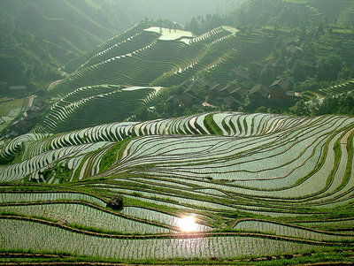 Terraces in the Morning....