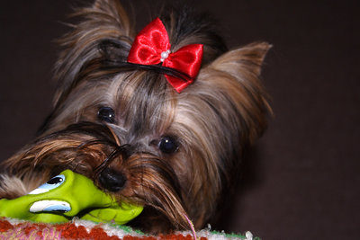 Emi and her green alligator