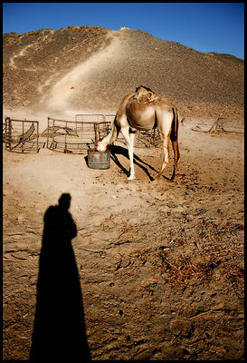 Desert shadow