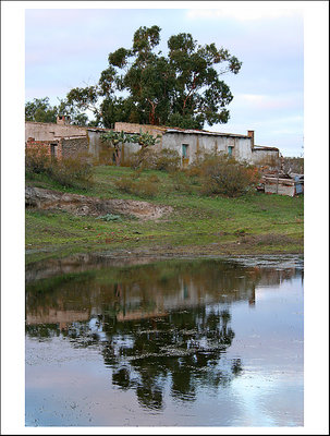 La casa de la laguna (1)